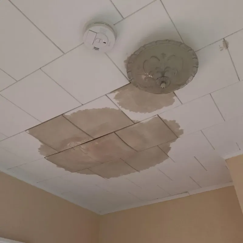 Ceiling Water Damage Repair in Burkburnett, TX