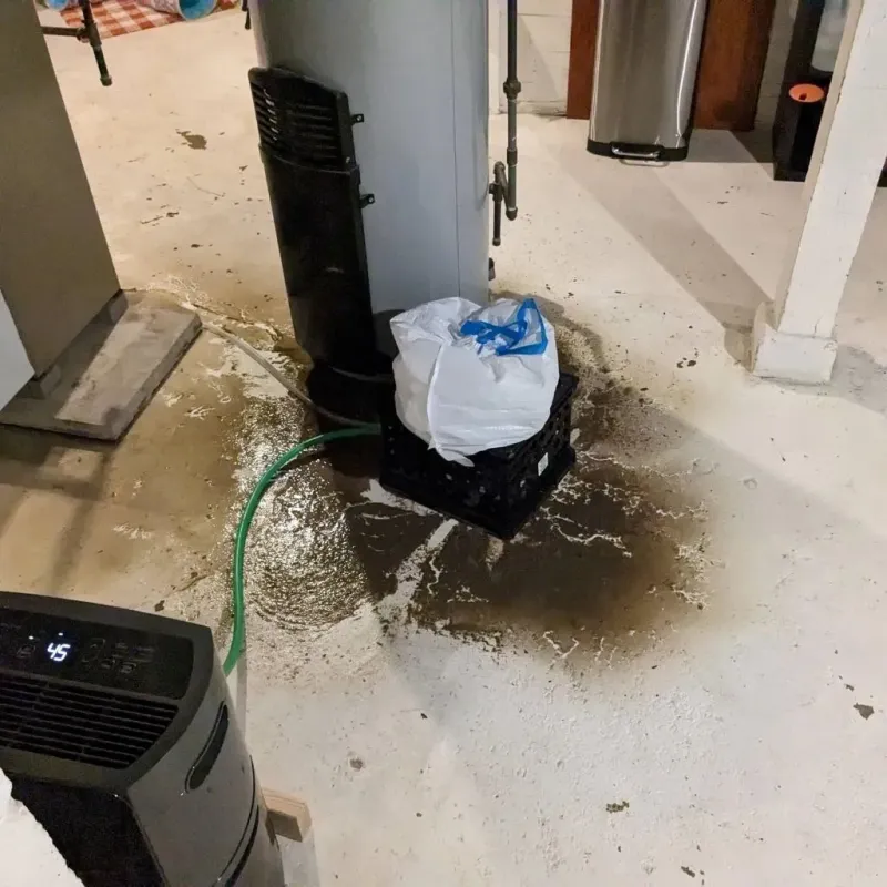 Sewage Backup Cleanup Service in Burkburnett, TX
